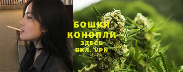 apvp Дмитровск