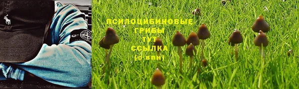 тгк Алексеевка