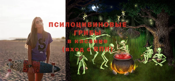 дживик Алексин