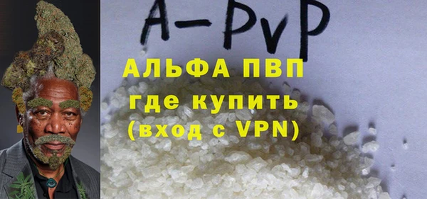 стаф Дмитров