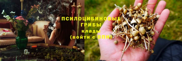 тгк Алексеевка