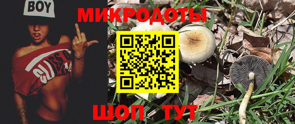 Галлюциногенные грибы мицелий  Галлюциногенные грибы мухоморы  где найти   Вход с VPN  Нарьян-Мар 