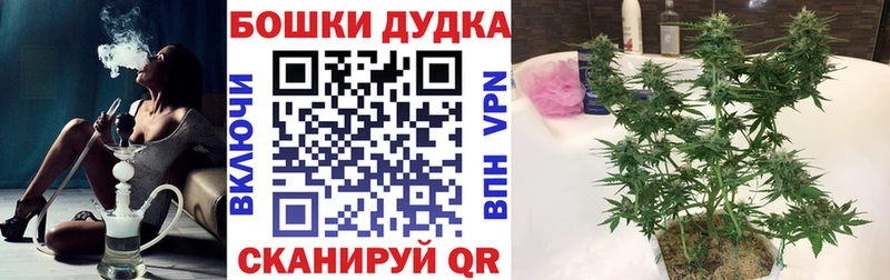 Шишки марихуана ГИДРОПОН  Нарьян-Мар 